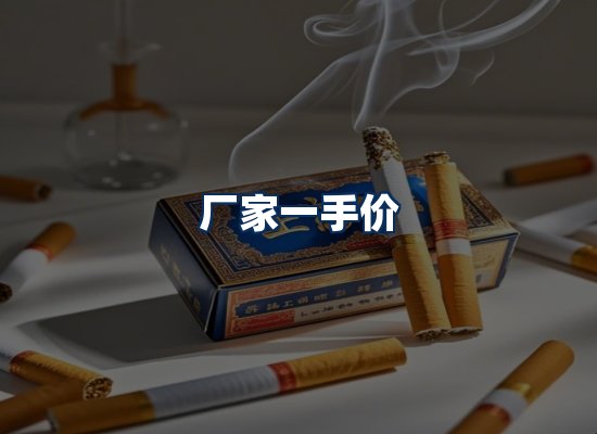 专业团队办公环境